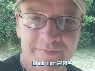 Bidrum209