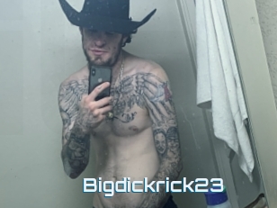 Bigdickrick23