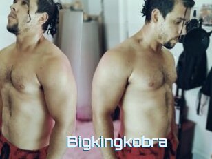 Bigkingkobra