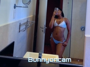 Bunnyoncam