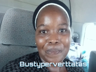 Bustyperverttatas