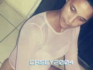 CASEY2004