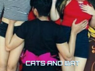 CATS_AND_BAT