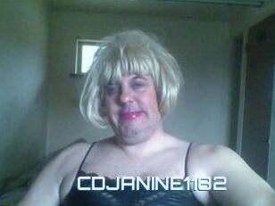 CDJANINE1182