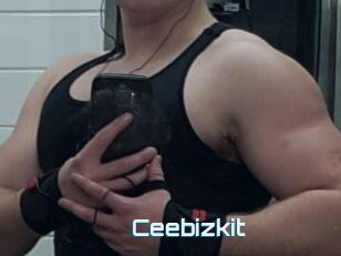 Ceebizkit