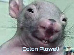 Colon_Plowell