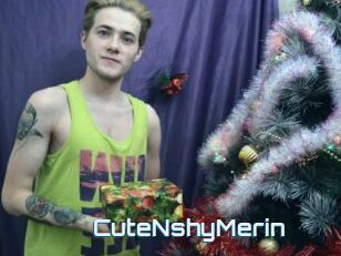 CuteNshyMerin