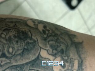C1234