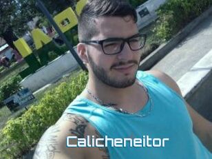 Calicheneitor