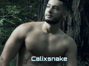 Calixsnake