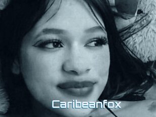 Caribeanfox