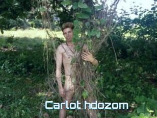 Carlot_hdozom