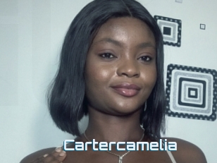 Cartercamelia