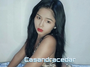 Casandracedar