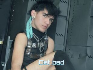 Cat_bad