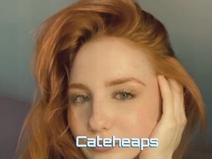 Cateheaps