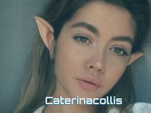 Caterinacollis