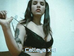 Catleya_x18