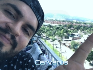 Cerverus