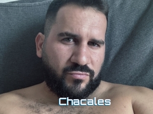 Chacales