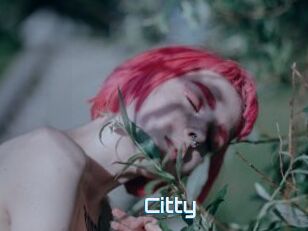 Citty