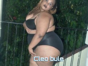 Cleo_bule