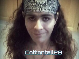 Cottontail28