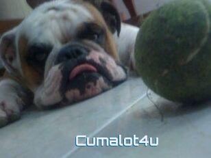 Cumalot4u