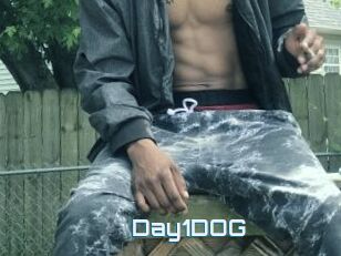 Day1DOG