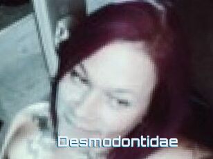 Desmodontidae