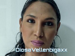 DiosaVellenbigaxx