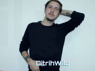 DitrihWild