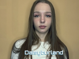 Daisyburland