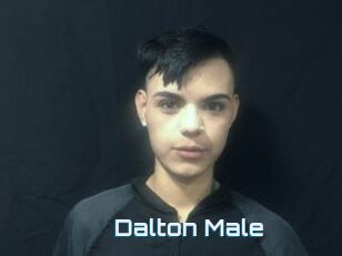 Dalton_Male