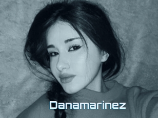 Danamarinez