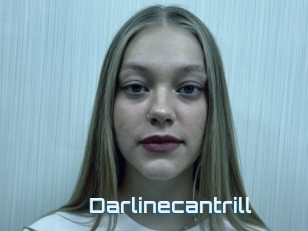 Darlinecantrill