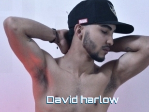 David_harlow