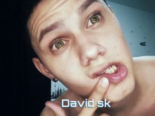 David_sk