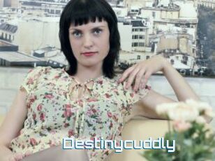 Destinycuddly