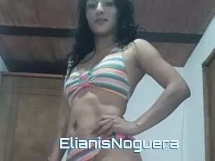 ElianisNoguera