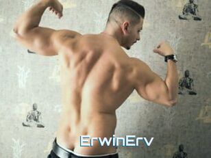 ErwinErv