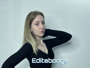 Editabodge