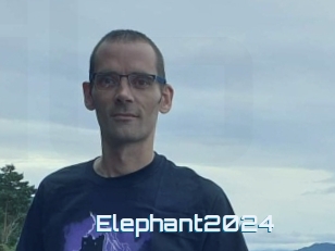 Elephant2024