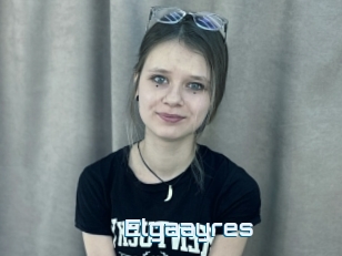 Elgaayres