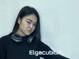 Elgacubitt
