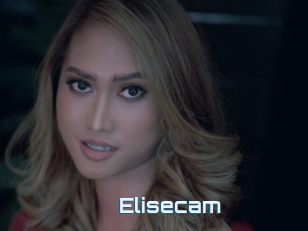 Elisecam