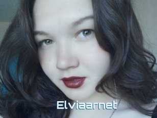 Elviaarnet