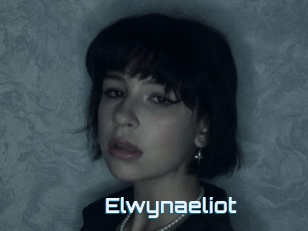 Elwynaeliot