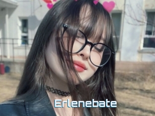 Erlenebate