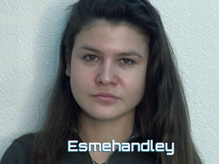 Esmehandley